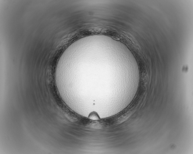 X0000093620416200711051243