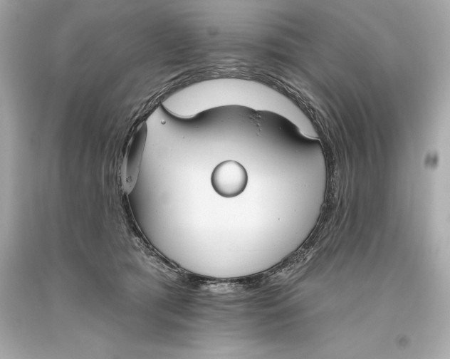 X0000093620417200711051243