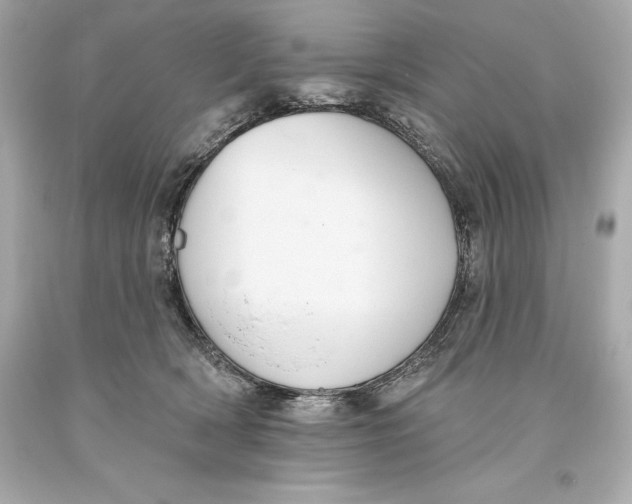 X0000093620418200711051243