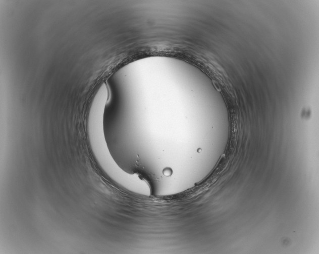 X0000093620419200711051243