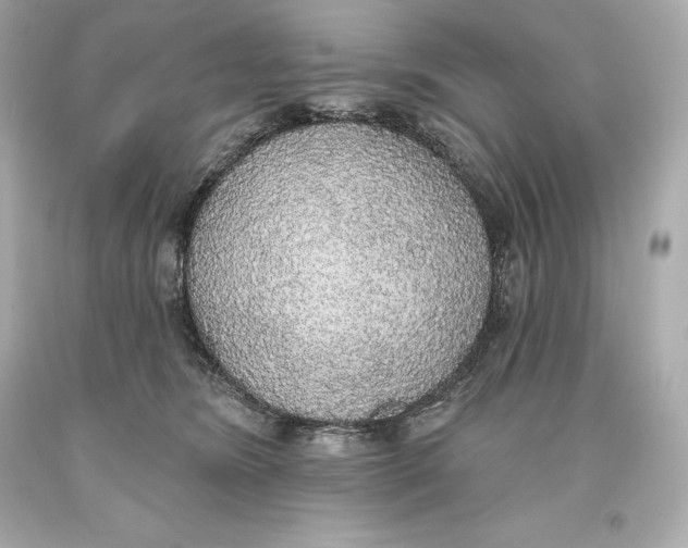 X0000093620420200711051243