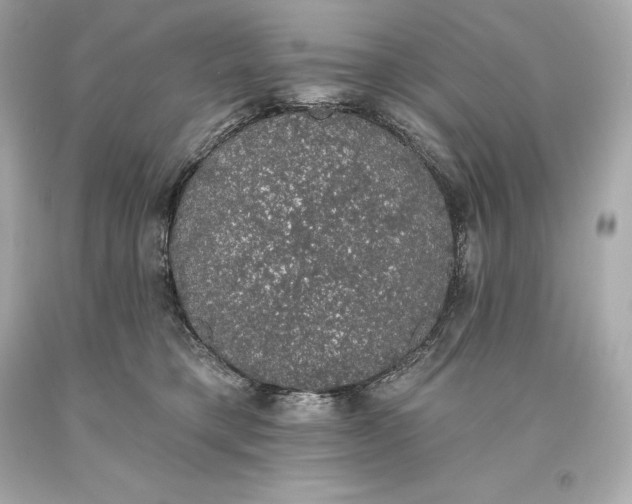 X0000093620421200711051243