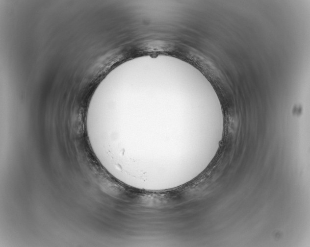 X0000093620422200711051243