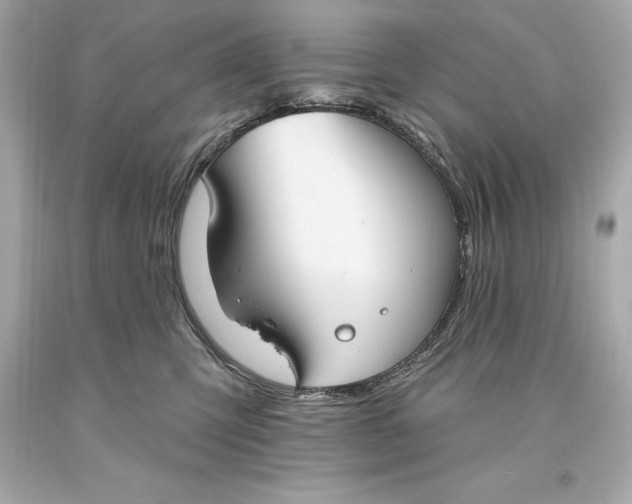 X0000093620423200711051243