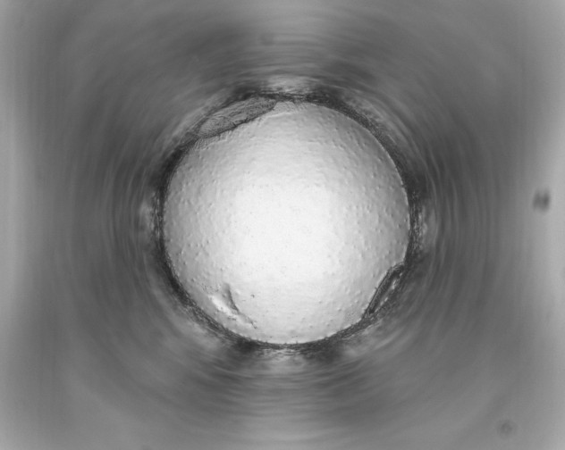 X0000093620424200711051243