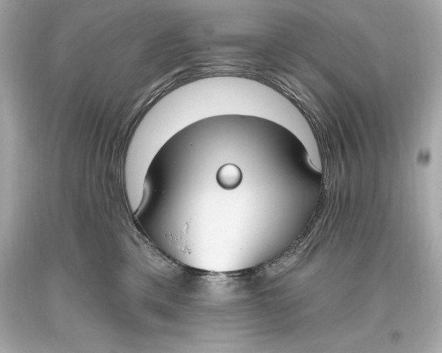 X0000093620425200711051243