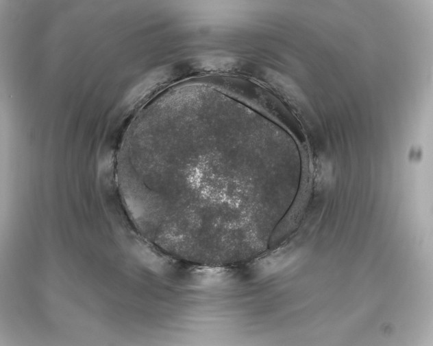 X0000093620428200711051243