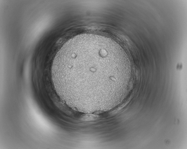 X0000093620429200711051243