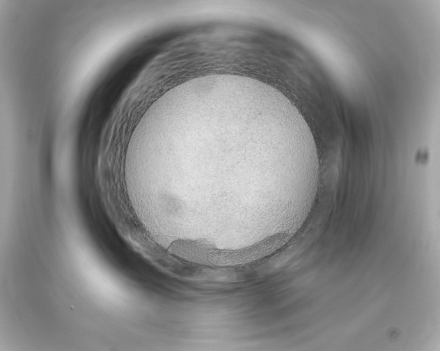 X0000093620431200711051243