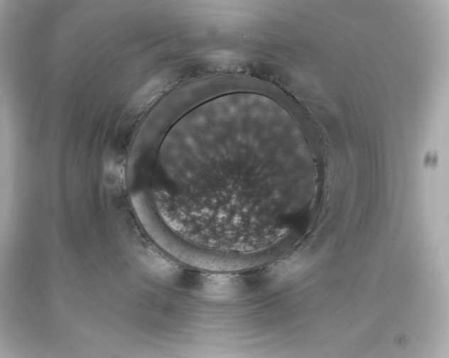 X0000093620432200711051243