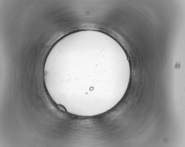 X0000093620433200711051242