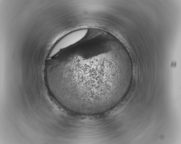 X0000093620434200711051242