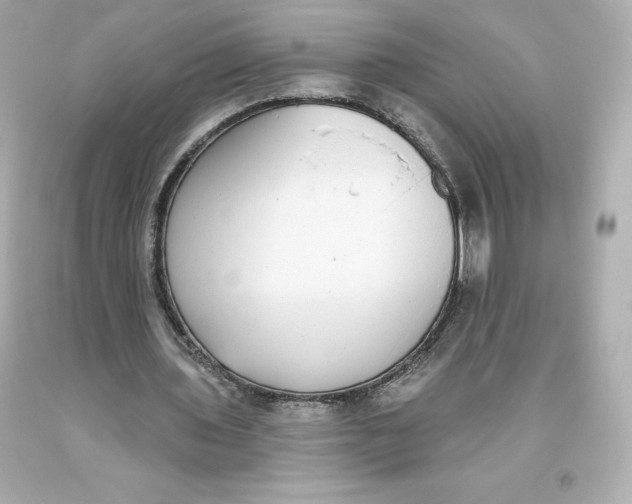 X0000093620435200711051242