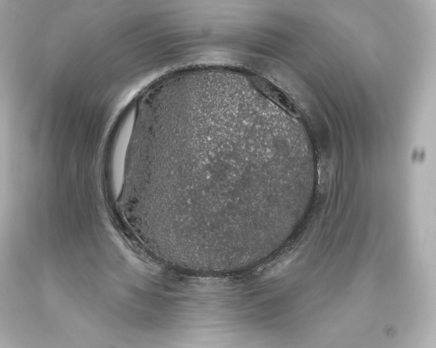 X0000093620436200711051242