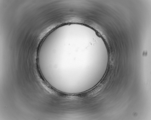 X0000093620437200711051242