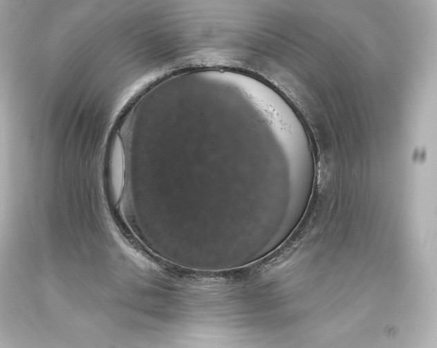 X0000093620438200711051242