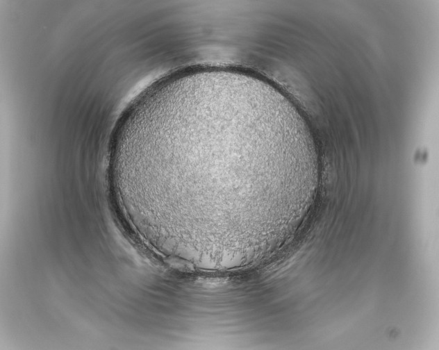 X0000093620440200711051242