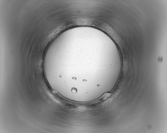 X0000093620441200711051242