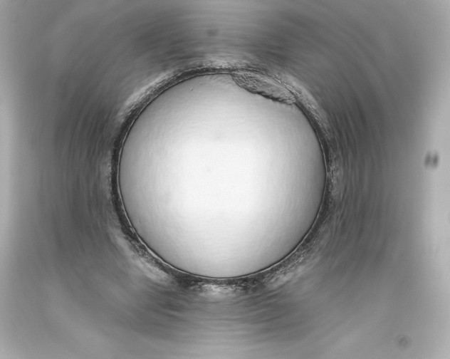 X0000093620442200711051242