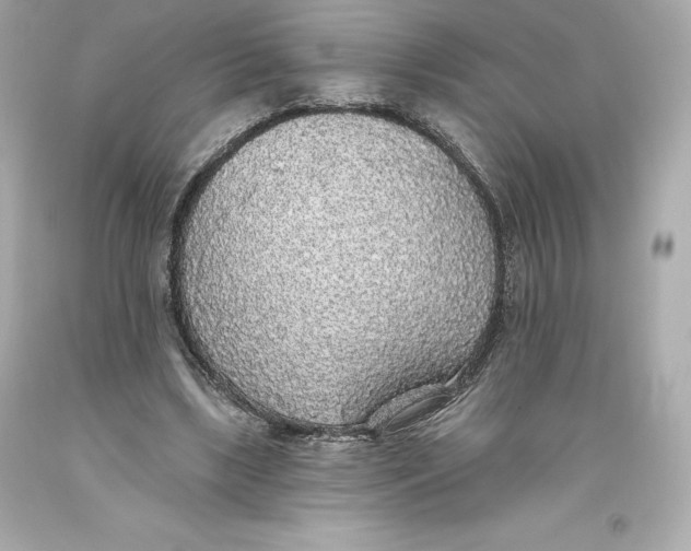 X0000093620443200711051242