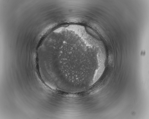 X0000093620444200711051242