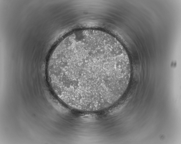 X0000093620447200711051242