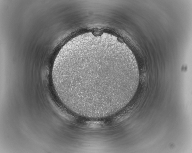 X0000093620448200711051242