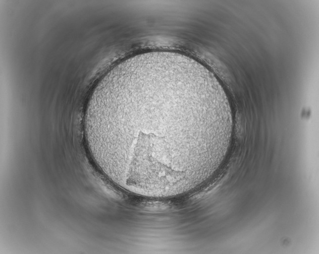 X0000093620449200711051242