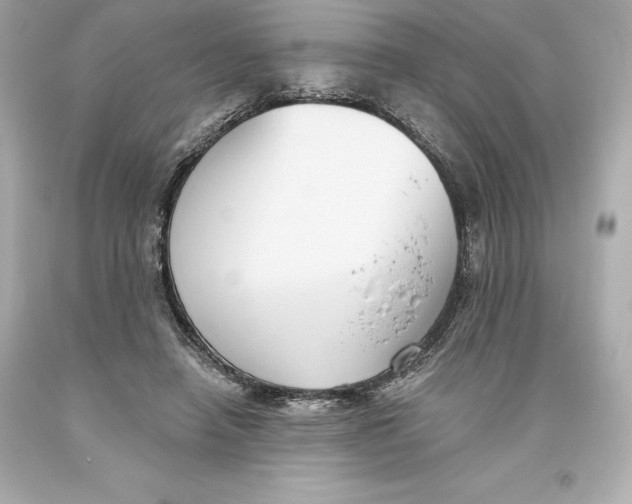 X0000093620450200711051242