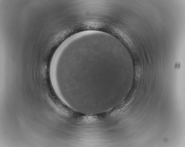 X0000093620451200711051242