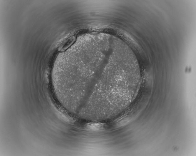 X0000093620452200711051242