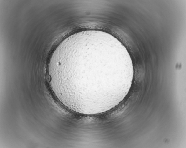 X0000093620453200711051242