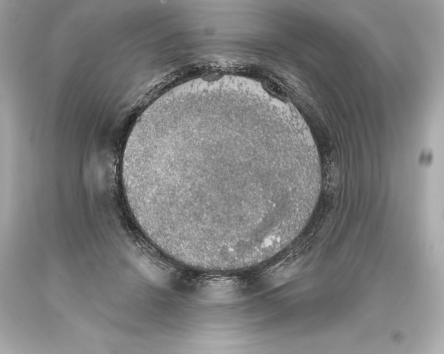 X0000093620456200711051242