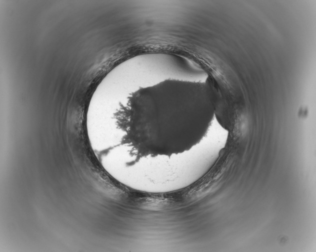 X0000093620458200711051242