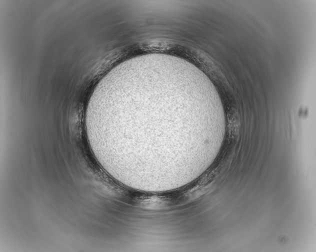 X0000093620460200711051243