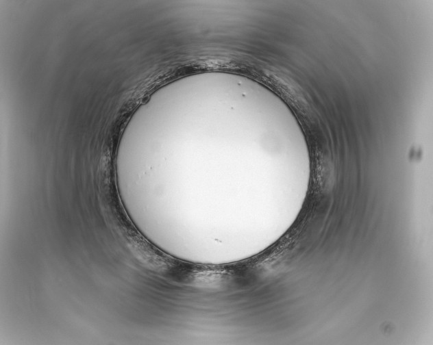 X0000093620461200711051243