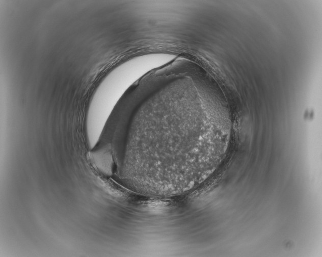 X0000093620462200711051243