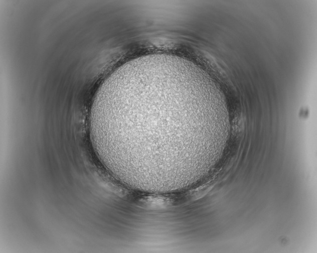 X0000093620464200711051243