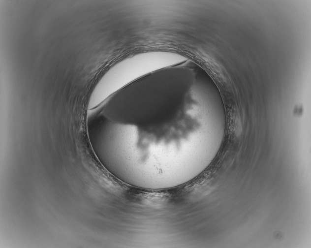 X0000093620465200711051243