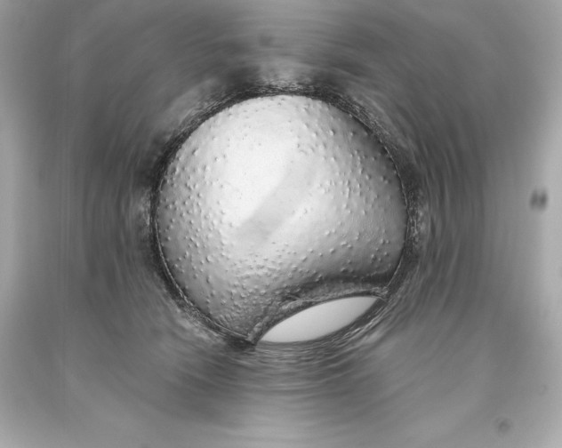 X0000093620466200711051243