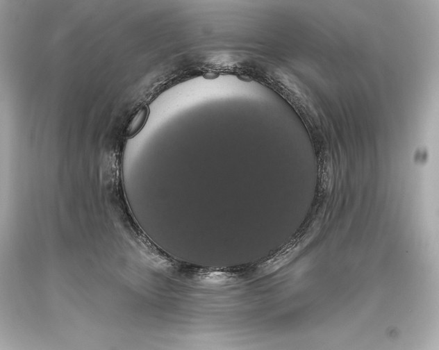 X0000093620467200711051243