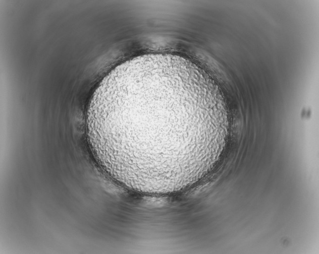 X0000093620469200711051243