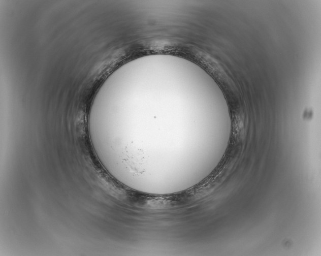 X0000093620470200711051243