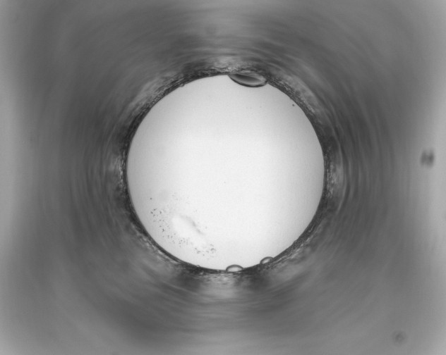 X0000093620473200711051243