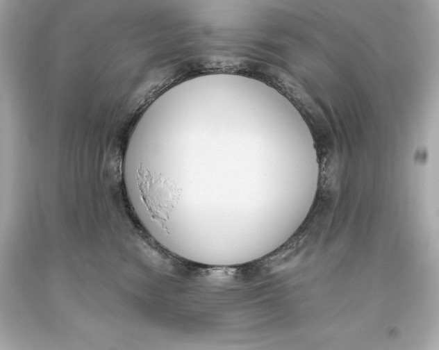 X0000093620474200711051243