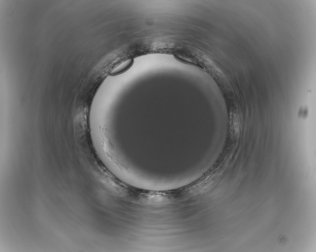 X0000093620475200711051243