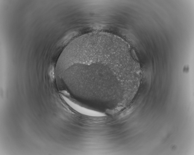 X0000093620479200711051243