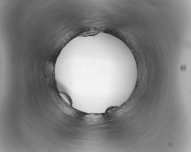 X0000093620480200711051243