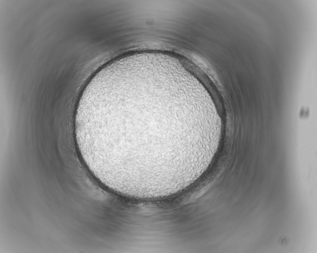 X0000093620481200711051242