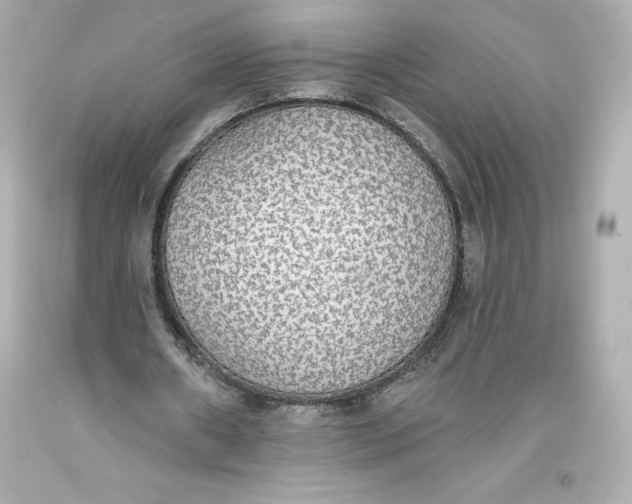 X0000093620482200711051242